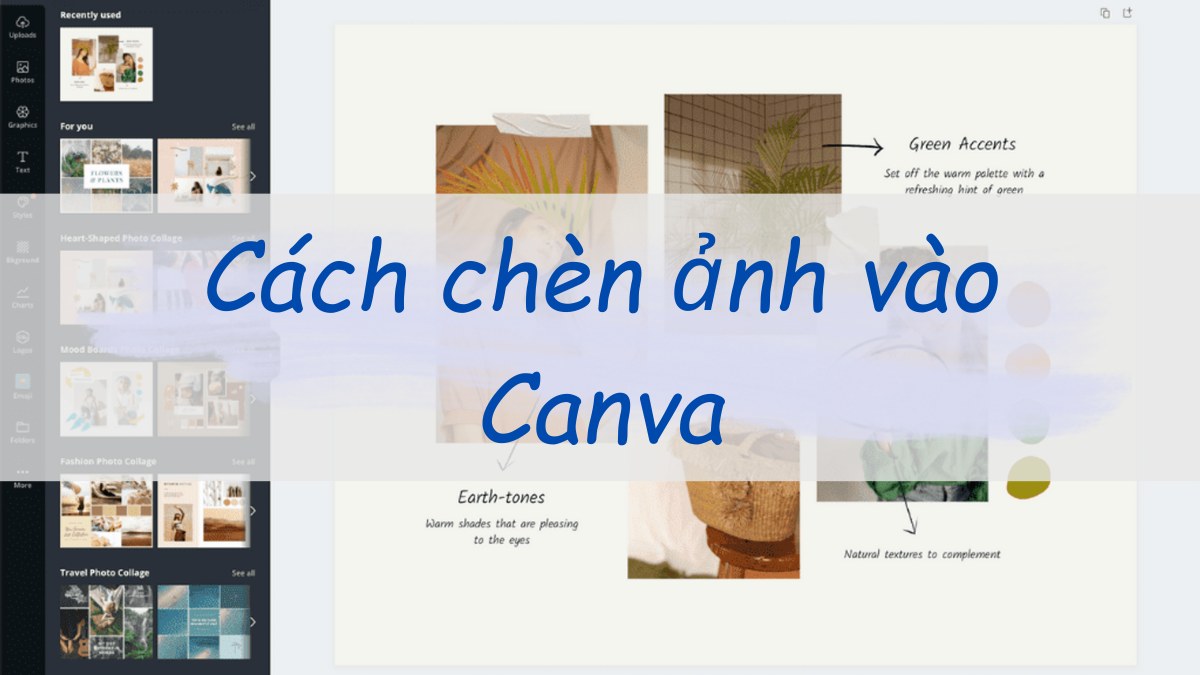 Cách chèn ảnh vào canva cho người nới bắt đầu sử dụng